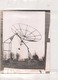 PHOTO D UNE ANTENNE ?? 24 X 18 CM - Oggetti