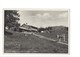 20378 - Chalet Et Sommet De La Dent De Vaulion  Vaches (format 10X15) - Vaulion