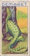 Delcampe - REPTILES - COULEUVRE N° 124 - CARAMELS ET TOFFEES DEMARET (LOT 13 IMAGES) - Sonstige & Ohne Zuordnung