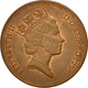 Monnaie, Grande-Bretagne, Elizabeth II, 2 Pence, 1996, TB, Copper Plated Steel - 2 Pence & 2 New Pence