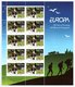 IRELAND 2007 EUROPA/Scouting Centenary: Set Of 2 Sheets UM/MNH - Blocchi & Foglietti
