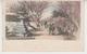 A724 /  JAPON    / PLUM  TREES  AND  POND - NAGAOKA   /  Circa 1900 :   ( Recto - Verso ) - Autres & Non Classés