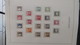 Collection De Timbres Et Blocs ** Du Groendland. PORT OFFERT DES 50 EUROS D'ACHATS. Voir Commentaires - Collections (en Albums)