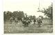 13 LES SAINTES MARIES DE LA MER PHOTO GEORGE CARTE PHOTO GARDIANS TAUREAUX MANADECAMARGUE BOUCHES DU RHONE - Saintes Maries De La Mer