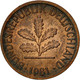 Monnaie, République Fédérale Allemande, Pfennig, 1981, Stuttgart, TTB, Copper - 1 Pfennig
