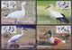 MAXIMUM CARD - MIGRATORY BIRDS IN PAKISTAN 2012 - Set Of 4 Post Cards - Other & Unclassified