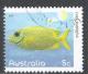 Australia 2010. Scott #3270 (U) Coral Rabbitfish - Oblitérés