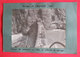 38 Barrage De L'Avignonet Travaux 1936 & Feeder Usine La Mouche Villeurbanne 2 Photos éd Entreprise Industrielle Paris - Places