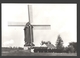 Zingem - Molen 't Dal, Oudste Molen Van België - Nieuwstaat - Fotokaart - Moulin / Mill - Zingem