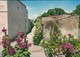 17-----TALMONT--village Charentais--les Roses Trémières--voir 2 Scans - Autres & Non Classés