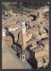 82805/ SIENA, Piazza Del Campo, Torre Del Mangia E Palazzo Comunale - Siena