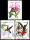 Ref. BR-2335-37 BRAZIL 1991 BIRDS, PREVENTION FOREST,ORCHIDS, , HUMMINGBIRDS, BRAPEX,MI# 2435-37, MNH 3V Sc# 2335-2337 - Unused Stamps