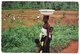 SIERRA LEONE - MOTHER AND CHILDS / RICE HARVESTING / RED METER/EMA FREETOWN 1968 - Sierra Leone