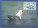 Frankreich / Kolonien / TAAF 1986  Mi.Nr. 208 , Antarktischer Eissturmvogel - Maximum Card - 1. Jan. 1986 - Used Stamps