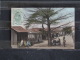 Z23  - Afrique Occidentale - Sénégal - Une Escale De Traite (Louga)  - Collection Fortier - Sénégal