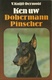 KEN UW DOBERMANN PINSCHER - V. KNIJFF-DERMOÛF - 1977 ELSEVIER - Pratique