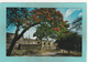 Old Postcard Of Old Military Fort,St.Michael,Barbados Posed With Stamp,S52. - Barbados