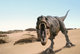 [T48-092]  Prehistorics Dinosaur , Pre-stamped Card Postal Stationery - Prehistorics