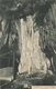 005027  Attendorner Tropfsteinhöhle - Der Altar  1912 - Attendorn
