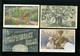 Delcampe - Beau Lot De 60 Cartes Postales Du Famille Royale  Dynasty      Mooi Lot Van 60 Postkaarten Van De Koninklijke Familie - 5 - 99 Postcards