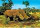 ** ( Lot De/of 3 Cartes / Postcards) ** AFRIQUE Africa ( Wild Life East Africa ) RHINOCEROS Nashorn Neushoorn Rinoceront - Rhinocéros
