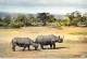 ** ( Lot De/of 3 Cartes / Postcards) ** AFRIQUE Africa ( Wild Life East Africa ) RHINOCEROS Nashorn Neushoorn Rinoceront - Rhinocéros