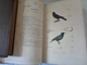 Delcampe - Le Régne Animal Distribué D'après Son Organisation Par Georges CUVIER :atlas Des Oiseaux Par M ALCIDE D'ORBIGNY - 1801-1900