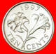 # FLOWER (1986-1998): BERMUDA ★ 10 CENTS 1997 MINT LUSTER! LOW START ★ NO RESERVE! - Bermuda