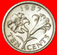 # FLOWER (1986-1998): BERMUDA ★ 10 CENTS 1987! LOW START ★ NO RESERVE! - Bermudas