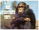 (ORL 864) Ape - Singe - Humour