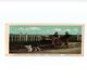 WEST Bathurst HENDERSON  (Attelage De Chien, Dogcart, Hondenkar ) Transport Of Wood GASPE COAST CANADA 13,X9cm - Marchands Ambulants