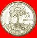 # BIRD (1977-2010): GUATEMALA ★ 5 CENTAVOS 1998 MINT LUSTER! LOW START ★ NO RESERVE! - Guatemala