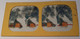 PHOTO STEREO Circa 1865 SURPRISE SYSTEME BALLON DIRIGEABLE VISIBLE A LA LUMIERE /FREE SHIPPING R - Photos Stéréoscopiques