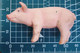 MAIALE PIG  D-73527 SCHW. GMUND Figure - Varkens