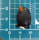 Uccellino Figure - Vogels