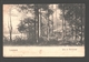 Linkebeek - Bois De Verrewinkel - Enkele Rug - 1906 - Linkebeek