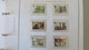 Delcampe - JERSEY NICE BOOK WITH DIFFERENT MNH STAMPS - Collezioni (in Album)