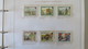 Delcampe - JERSEY NICE BOOK WITH DIFFERENT MNH STAMPS - Collezioni (in Album)