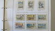 Delcampe - JERSEY NICE BOOK WITH DIFFERENT MNH STAMPS - Collezioni (in Album)