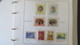 Delcampe - JERSEY NICE BOOK WITH DIFFERENT MNH STAMPS - Collezioni (in Album)