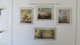 Delcampe - JERSEY NICE BOOK WITH DIFFERENT MNH STAMPS - Collezioni (in Album)