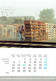 Pigeons Duiven Fédération Colombophile Belge Belgische Duivenliefhebbersbond Calendrier 2001 - Grossformat : 2001-...