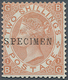 * 1880, 2 Sh. Queen Victoria Mit Aufdruck SPECIMEN, Lt. Neuem FFA Louis "echt, Ungebr. Mit Originalgummi, Li. Unt. 4 Lei - Sonstige & Ohne Zuordnung