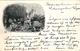 10 CPA  Anno 1900 - LATIERES Flamandes - éditeur VEO (dans Le Cliché) - Transport Canine Hondenkar Alletages De Chiens - Vendedores Ambulantes