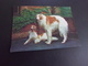 BELLE CARTE HOLOGRAPHIQUE...EN RELIEF..3D ...BEAUX CHIENS - Chiens