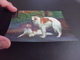 BELLE CARTE HOLOGRAPHIQUE...EN RELIEF..3D ...BEAUX CHIENS - Dogs