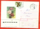 Moldova 1993. Mahaon. Envelope Really Passed The Mail. - Moldova