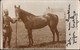 ! Alte Fotokarte 1915, Alfred Henkel Divisionsarzt 39. Division, Pferd, Horse, Gel. N. Rengshausen, Photo, 1. Weltkrieg - Guerra 1914-18