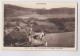 ATTELAGE DE BOEUF - Agriculteurs - Lac Chambon - Château De Murola - Animée - Attelages