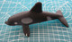 DELFINO Figure - Fish